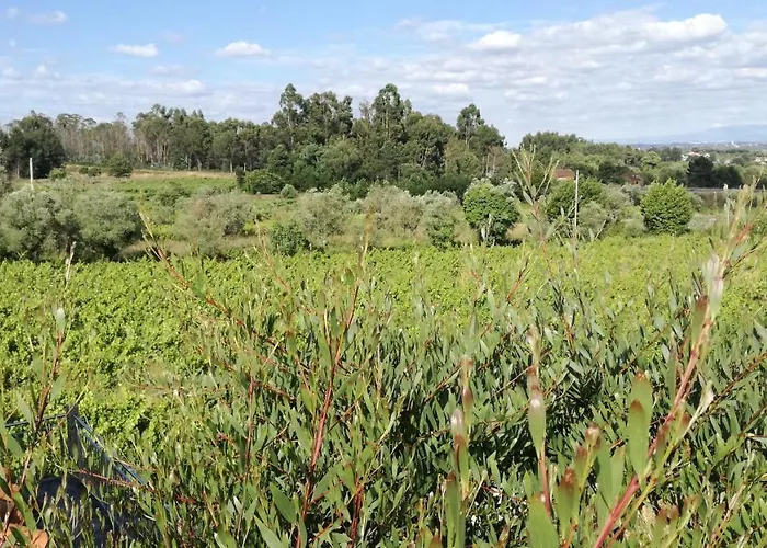 Penzion Casa Do Linhar - Quintas De Sirlyn *